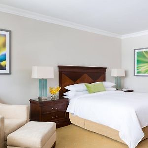 King Room City View